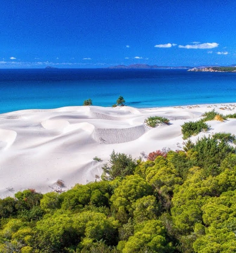 transfer taxi privato sardegna